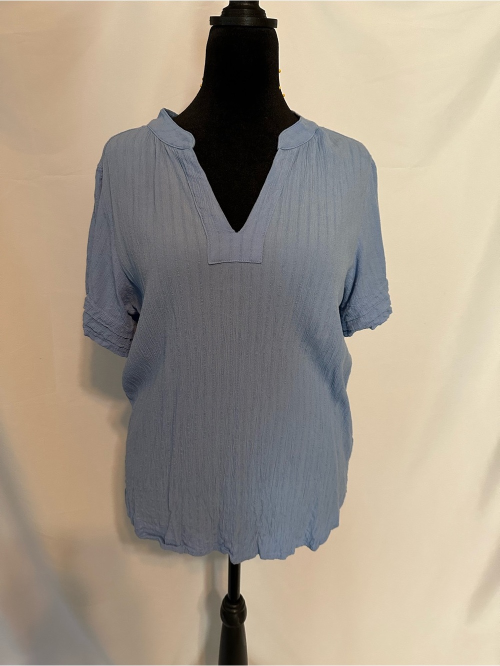 Well Worn Light Blue Split-Neck Short Sleeve Blouse